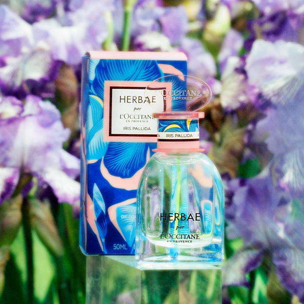 L'Occitane Herbae 香水 Amazon.co.jp: ロクシタン(L'OCCITANE) エルバヴェール